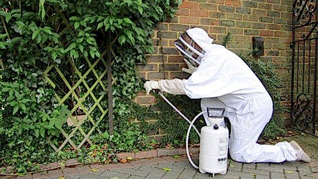 cleanarea Haşere İlaçlama Temizlik Hizmeti