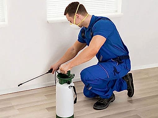 clean area istanbul Beykoz Haşere İlaçlama TemizlikŞirketi